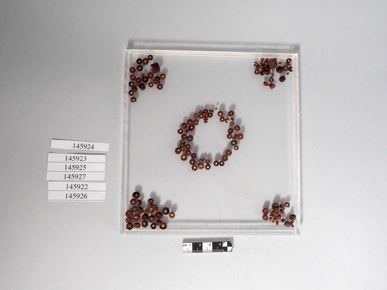 vago (PERIODIZZAZIONI/ PROTOSTORIA/ Età del Ferro/ Media età del Ferro)