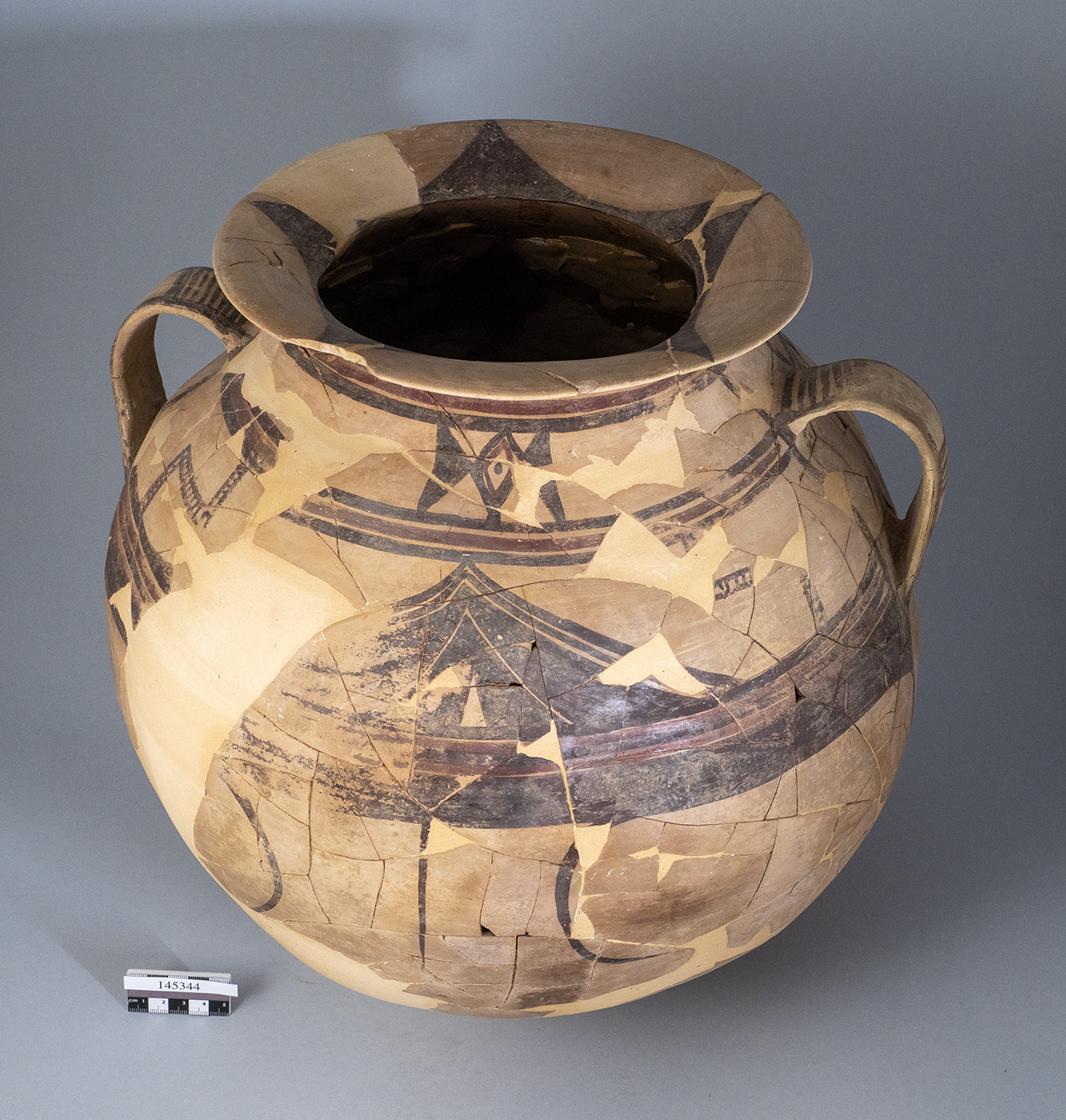 olla/ biansata (PERIODIZZAZIONI/ PROTOSTORIA/ Età del Ferro/ Media età del Ferro)