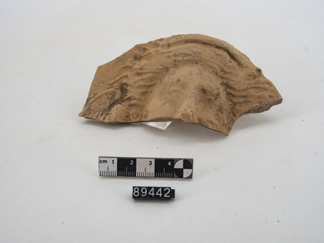 disco (SECOLI/ IV a.C./ I d.C)