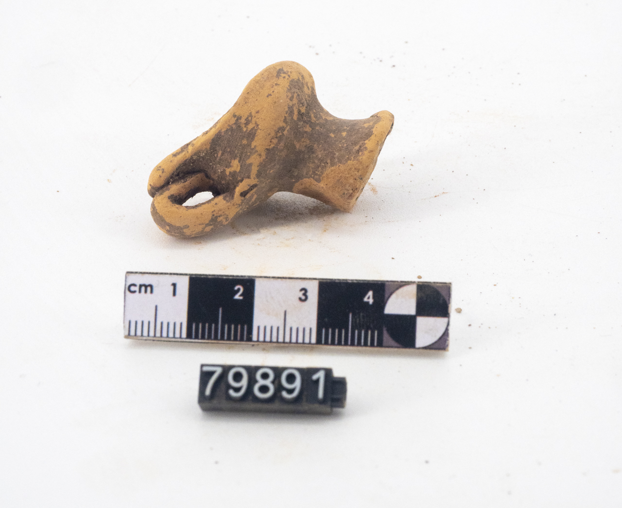 coppa/ biansata (SECOLI/ IV a.C./ I d.C)