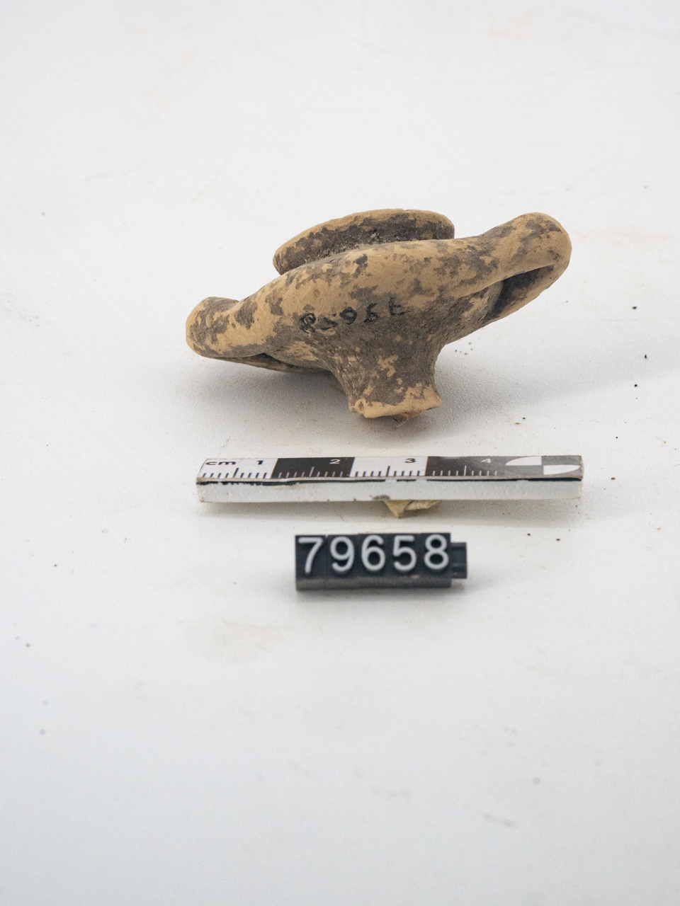 craterisco (SECOLI/ IV a.C./ I d.C)