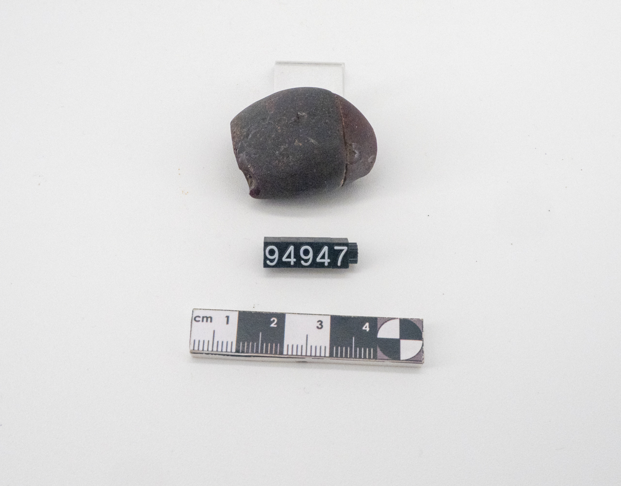 fibula (metà SECOLI/ VI a.C)