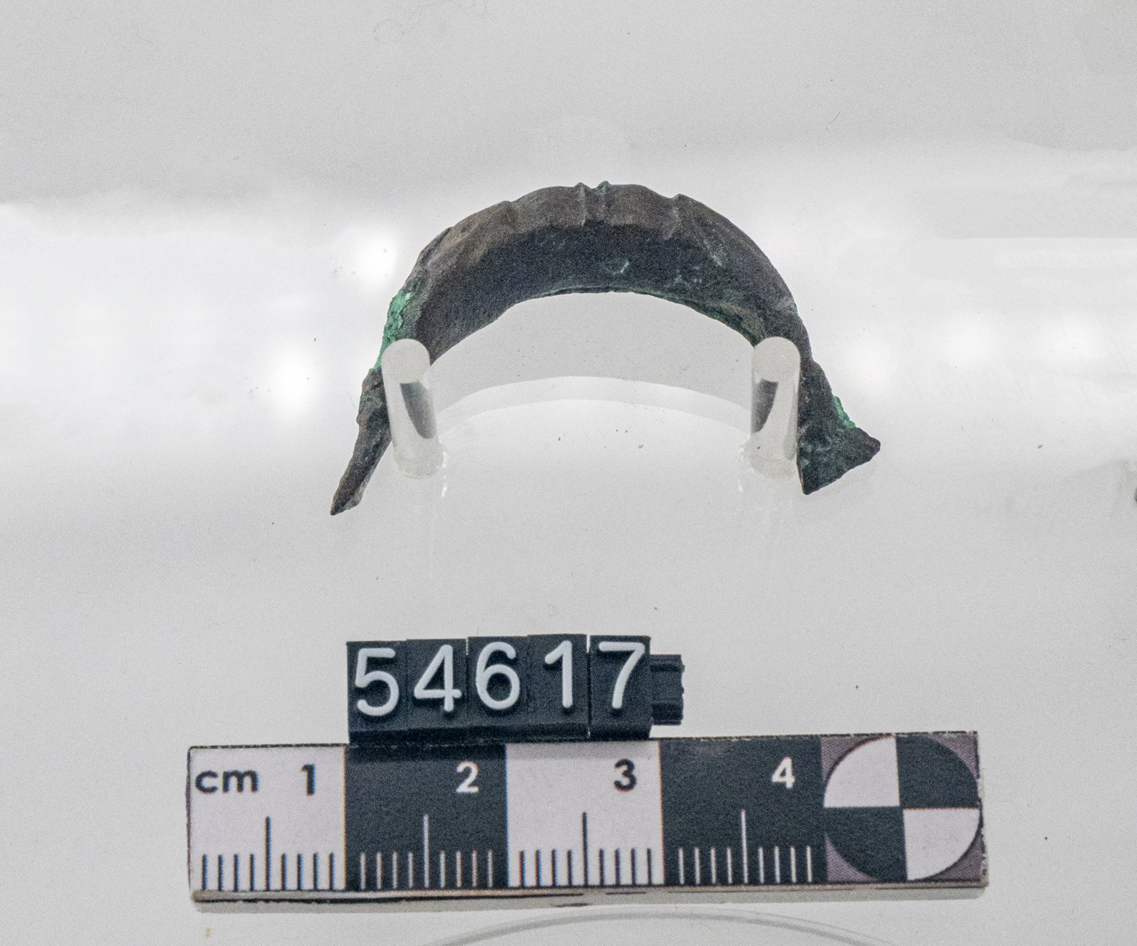 fibula/ a sanguisuga (metà SECOLI/ VI a.C)