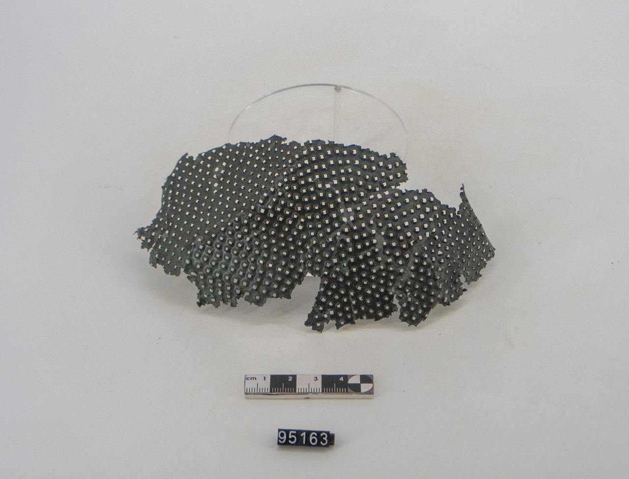 grattugia (fine/ inizio SECOLI/ ARCHI DI SECOLI/ VI a.C.-V a.C)