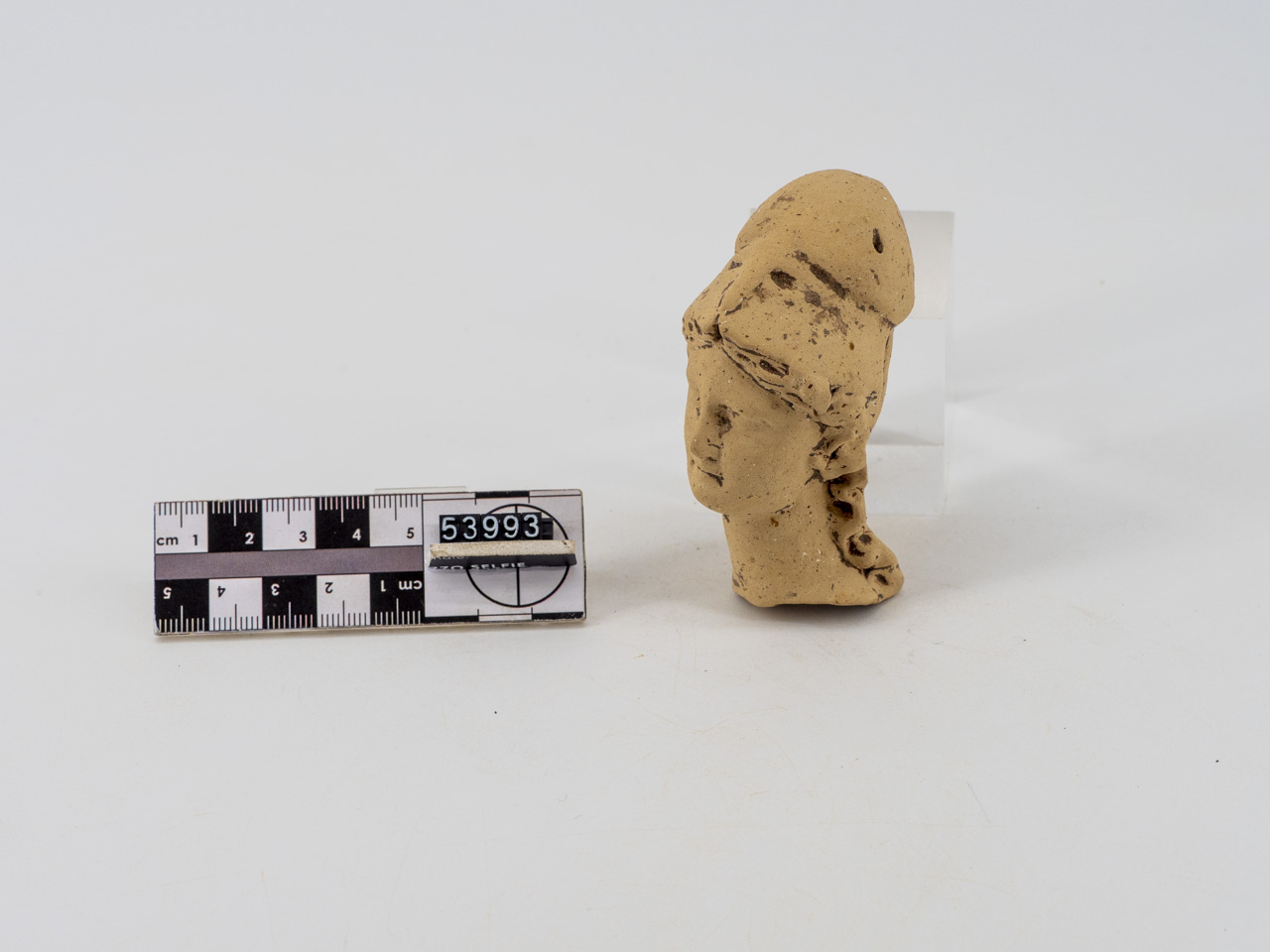 statuetta/ testa (SECOLI/ IV a.C./ I d.C)