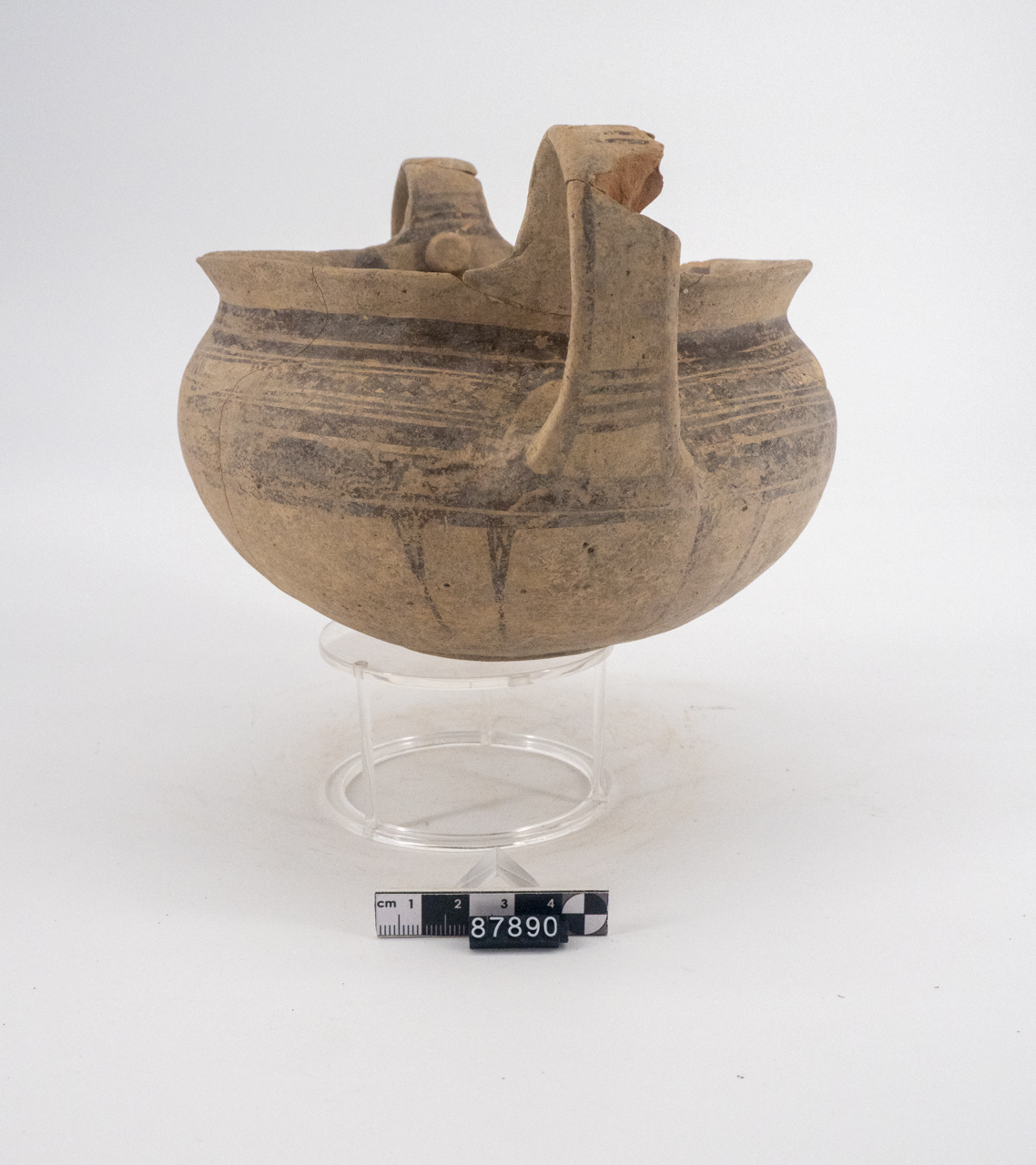 olla/ biansata (prima metà SECOLI/ VI a.C)