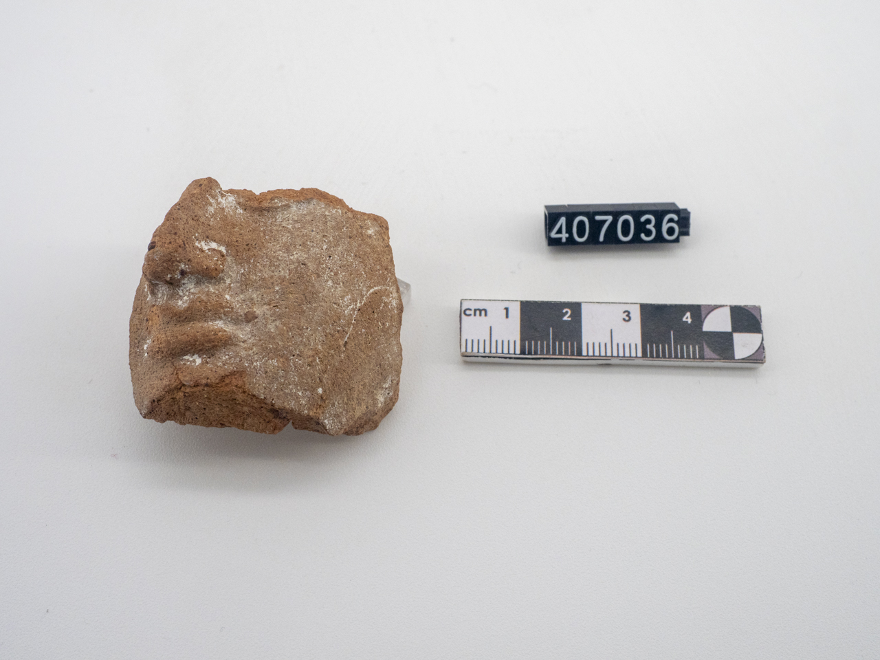 statuetta/ maschile, testa (SECOLI/ IV a.C)