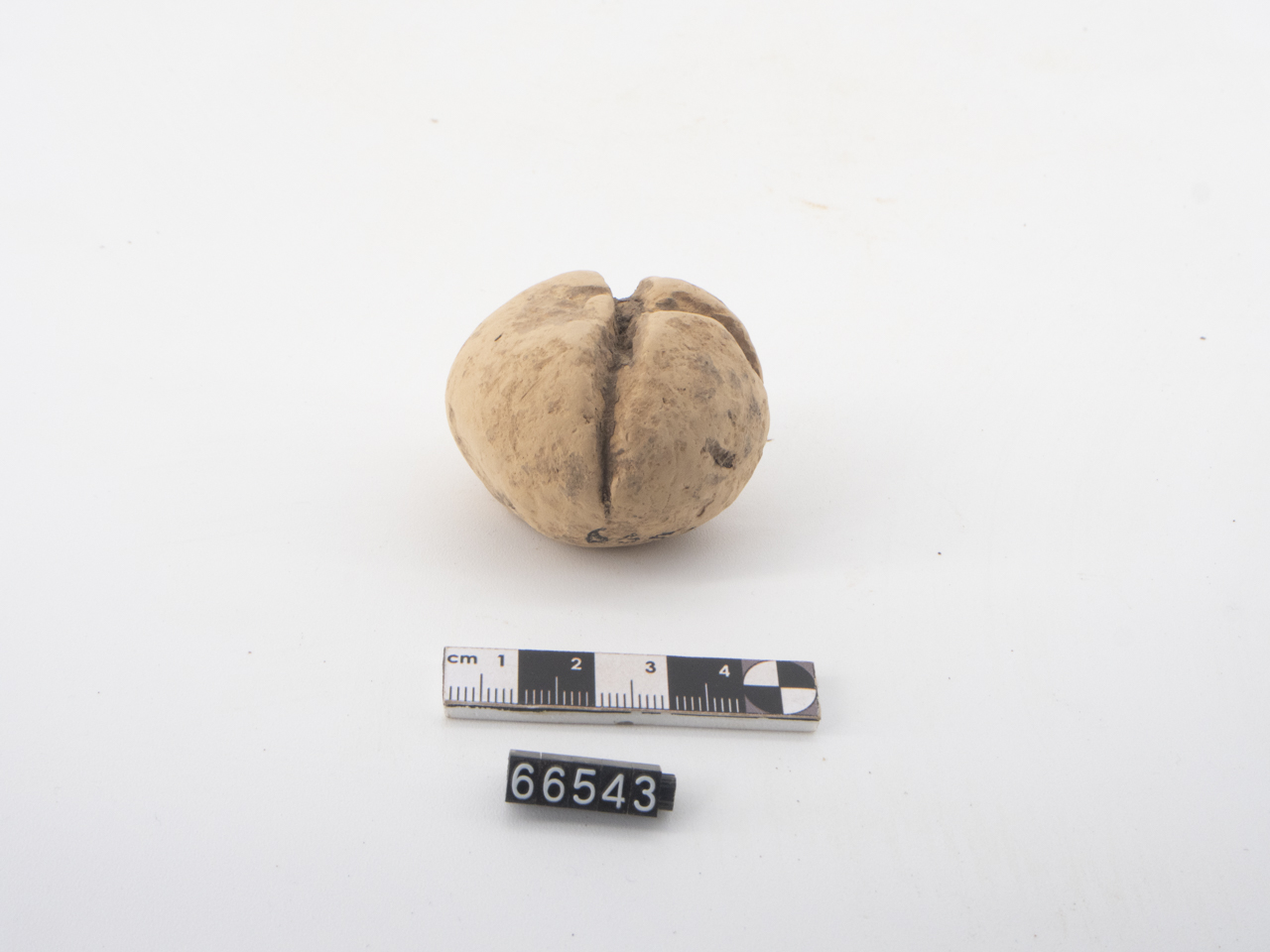 ex voto/ vegetale, Frutto (SECOLI/ IV a.C)