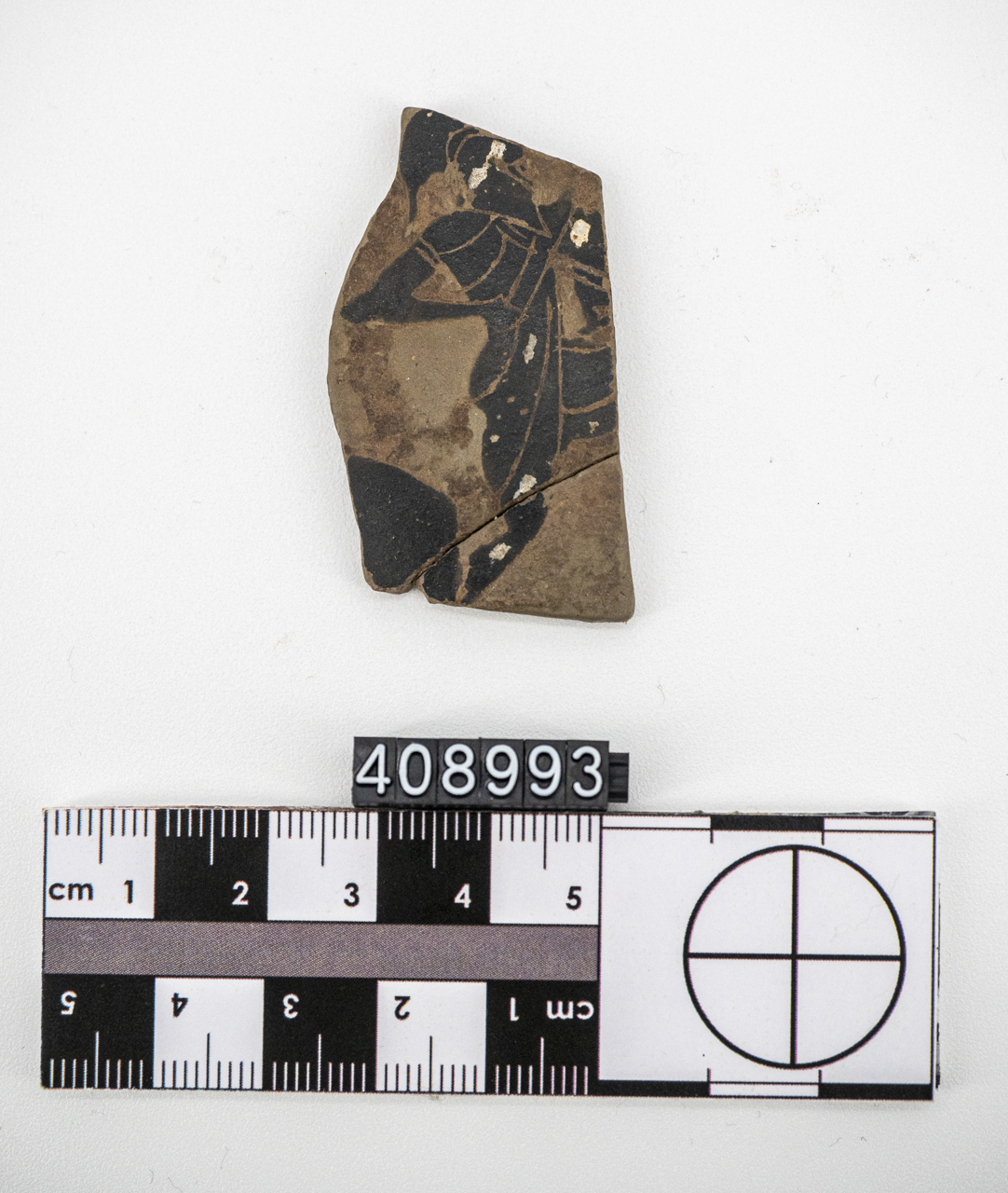 coppa, Band cup (metà SECOLI/ VI a.C)