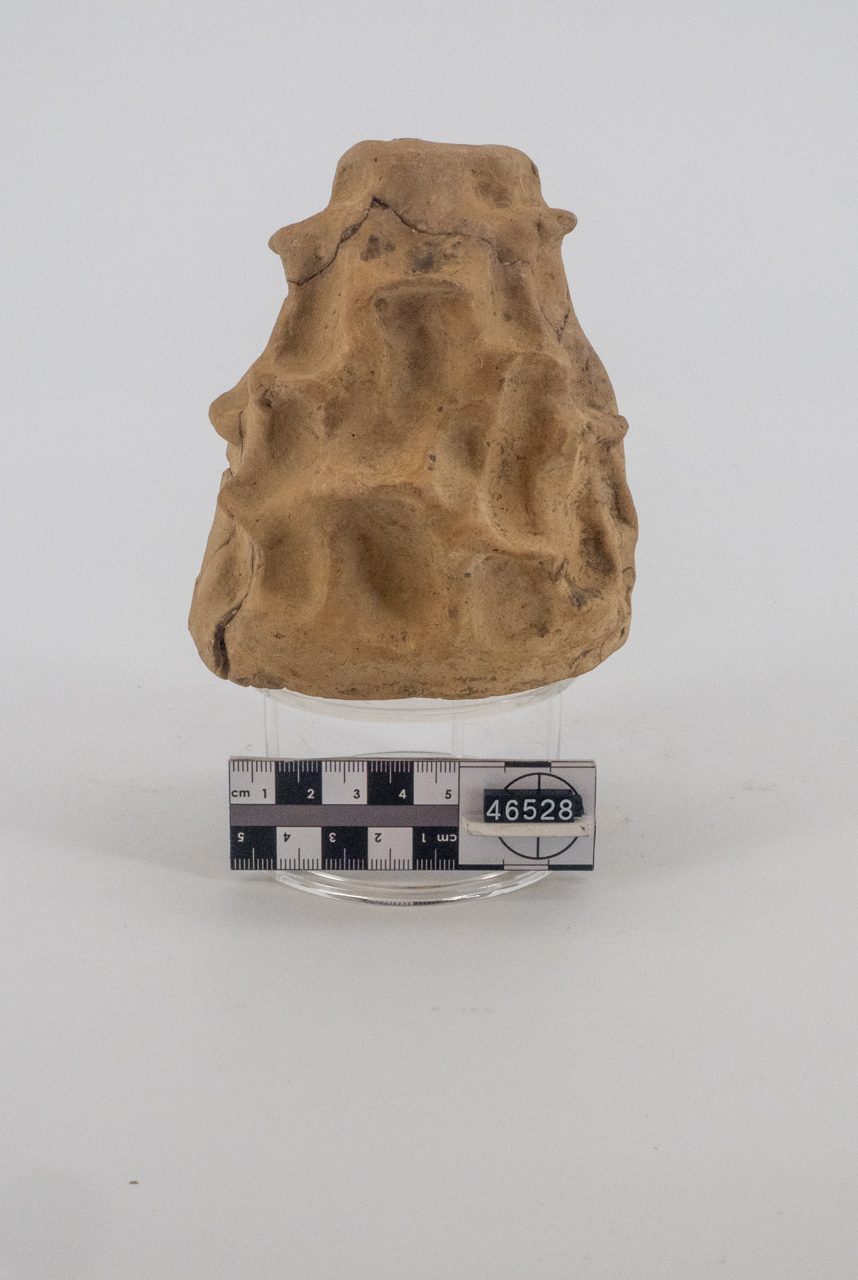 ex voto/ vegetale (SECOLI/ II a.C)