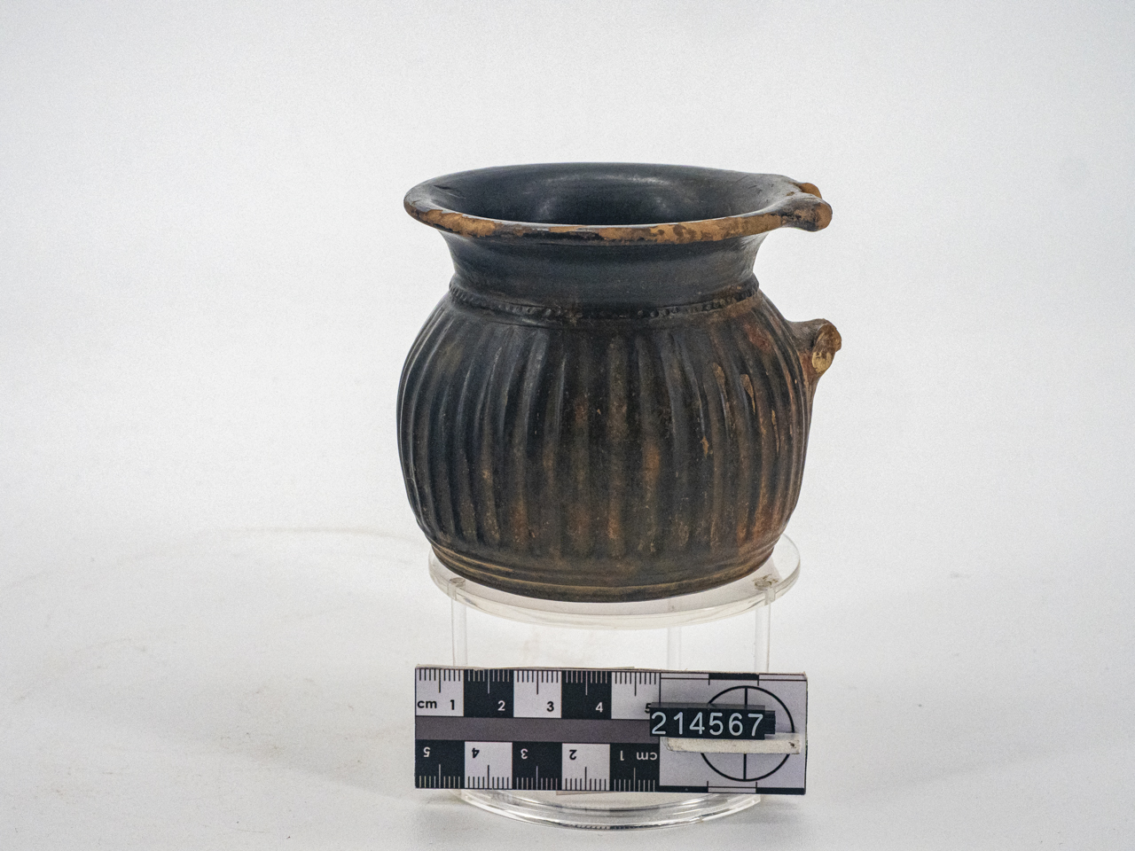 brocca (prima metà SECOLI/ V a.C)