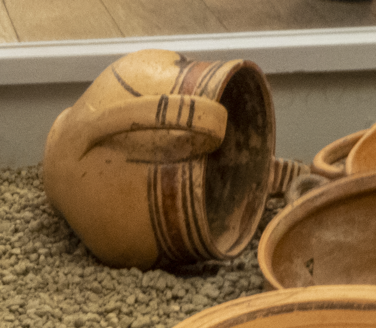 kantharos (metà SECOLI/ VI a.C)