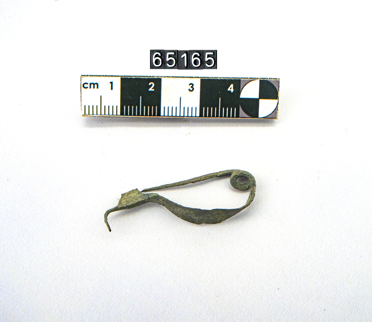 fibula (SECOLI/ IV a.C)