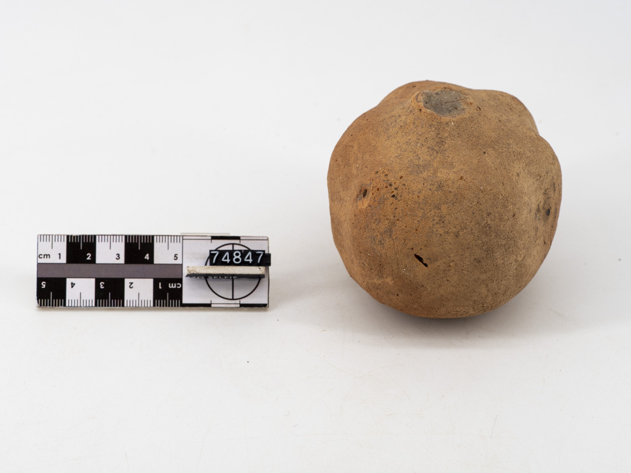 ex voto/ vegetale, Melograno (SECOLI/ IV a.C)