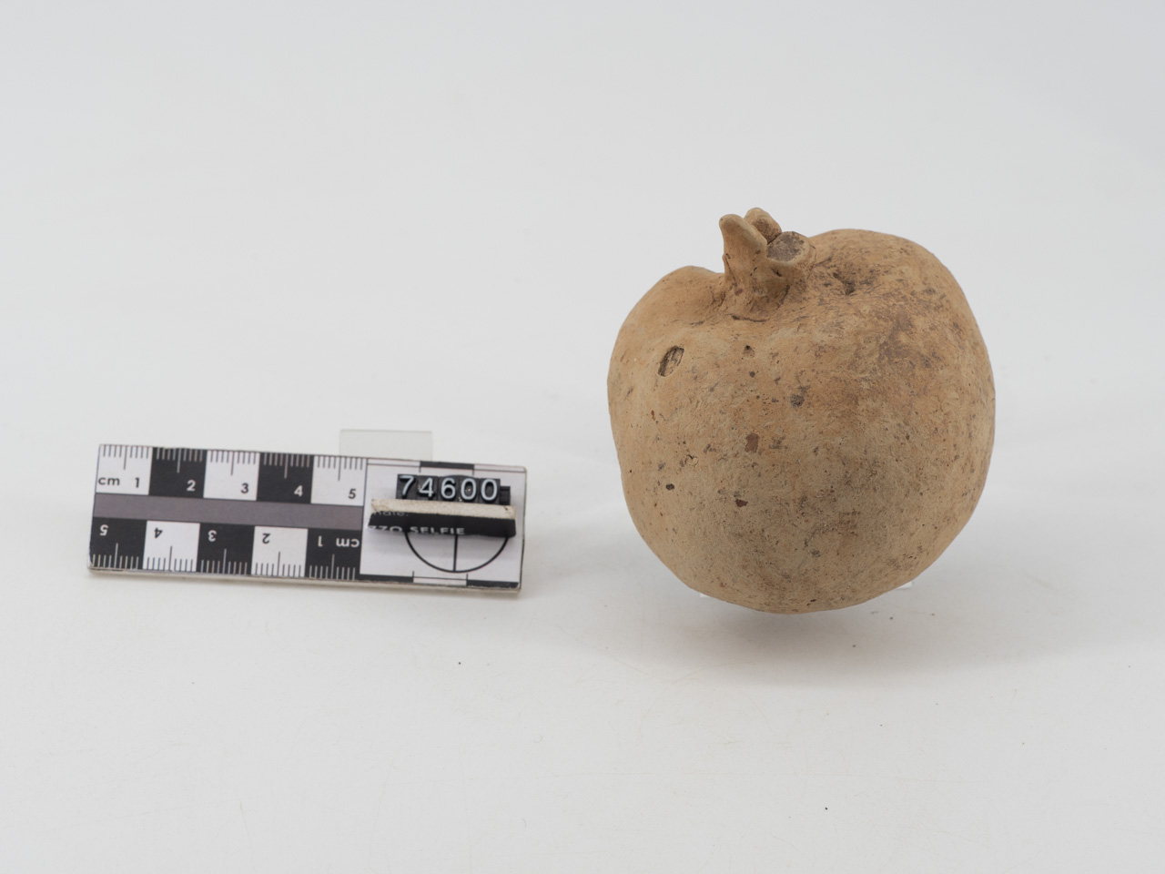 ex voto/ vegetale, Melograno (SECOLI/ IV a.C)