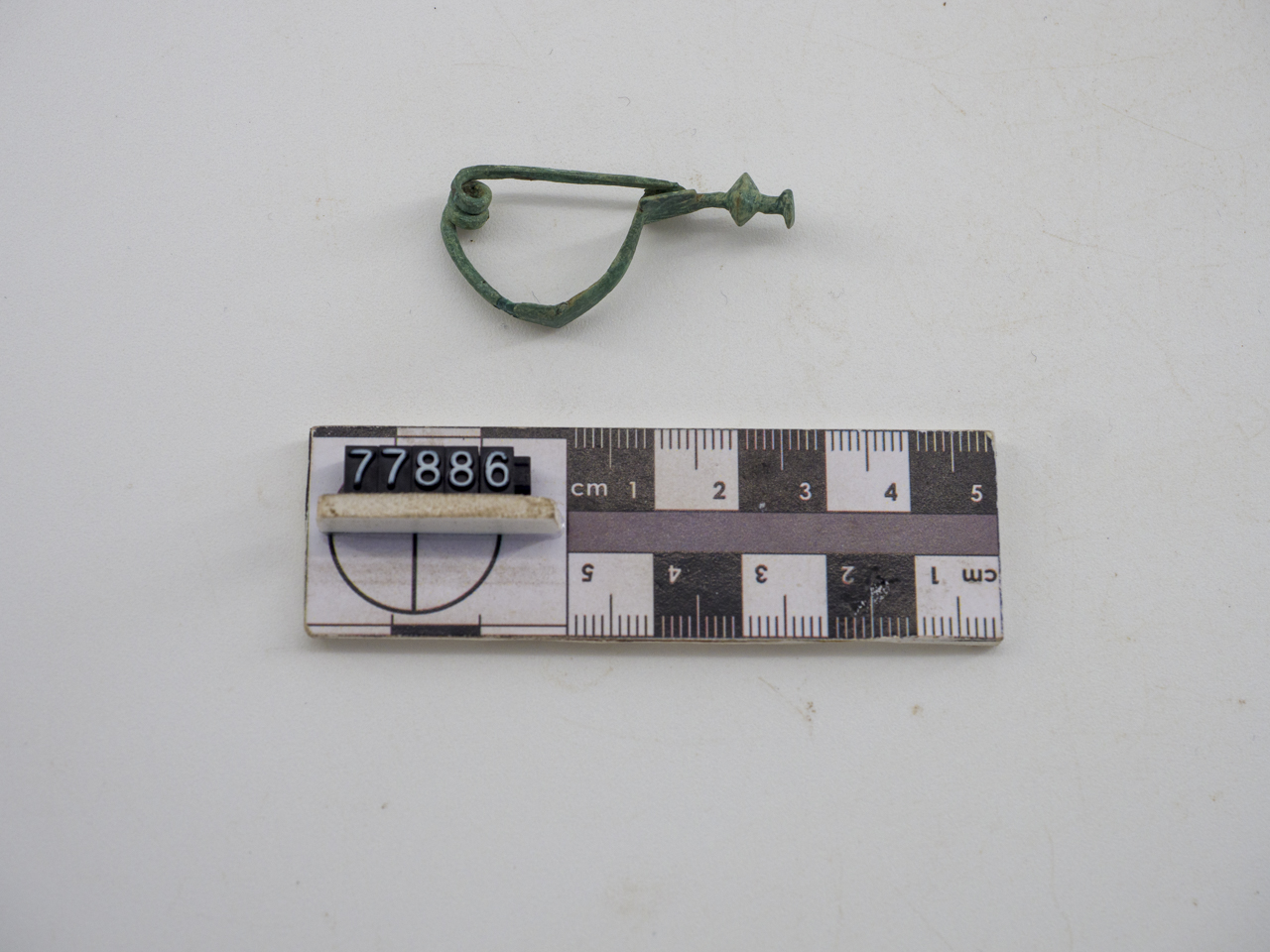 fibula (SECOLI/ IV a.C)