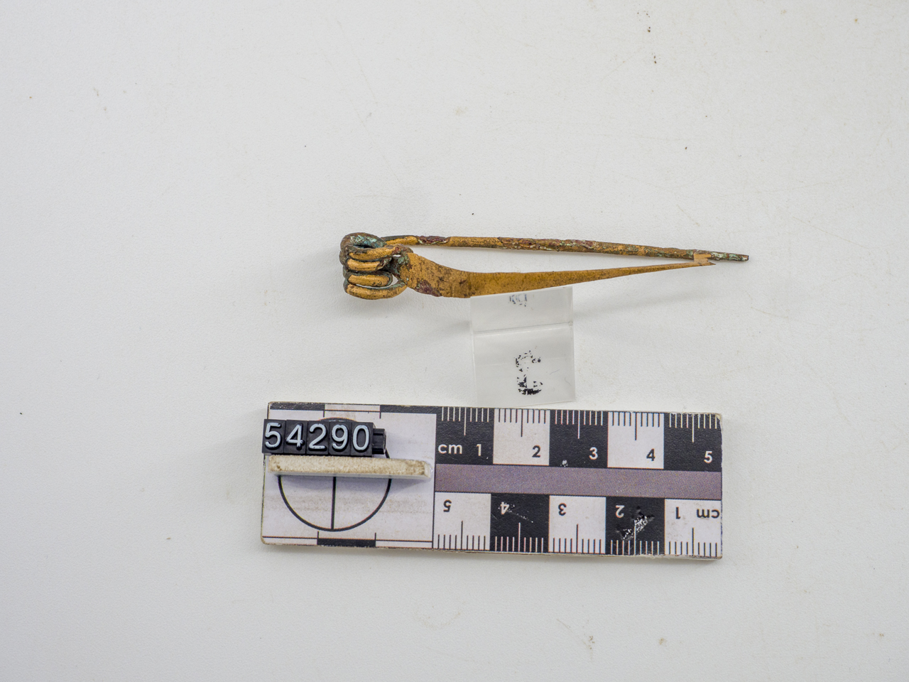 fibula (SECOLI/ IV a.C)