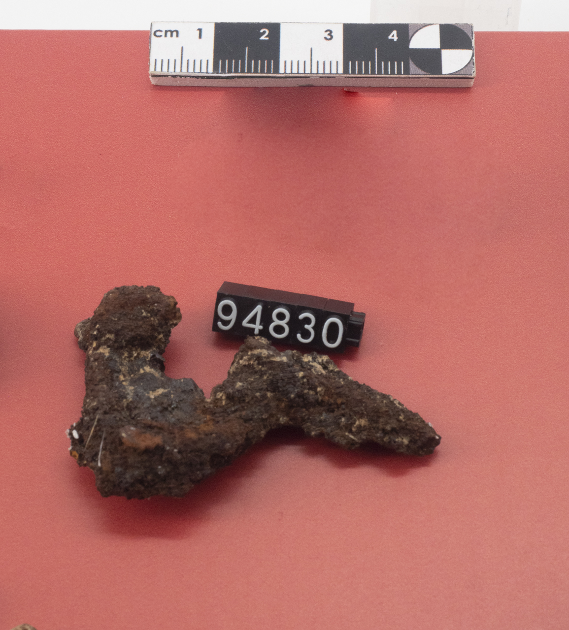 fibula/ a sanguisuga (SECOLI/ VI a.C)