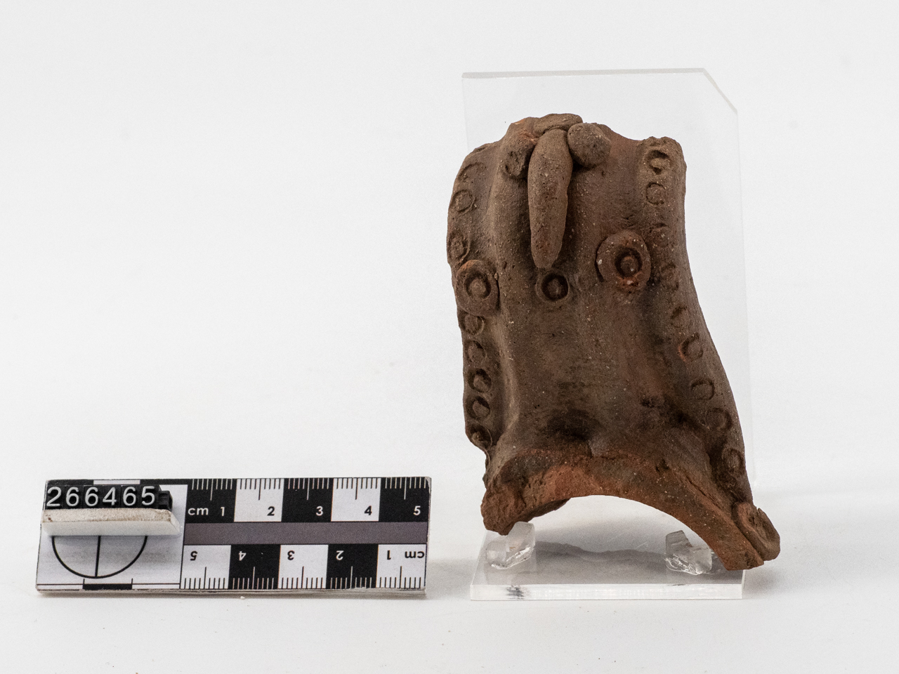 recipiente/ ansa (Età romana)