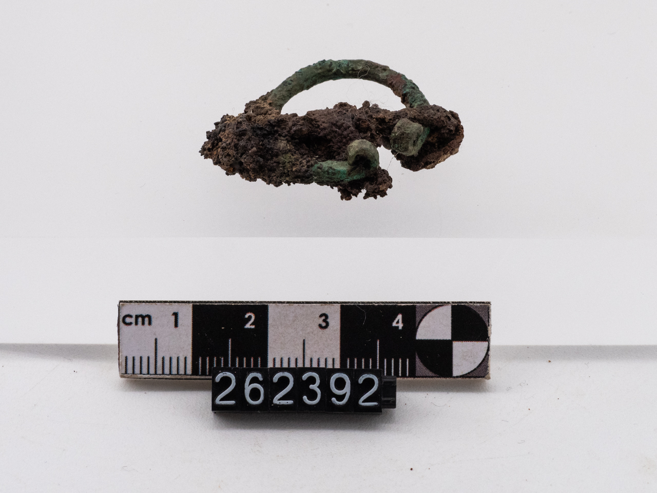 fibula/ a omega (VI-VII)