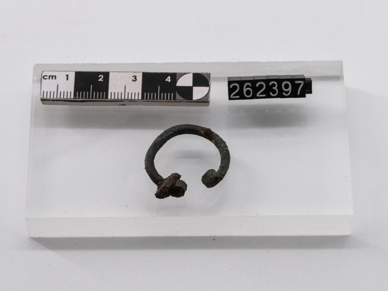 fibula/ a omega (VI-VII)