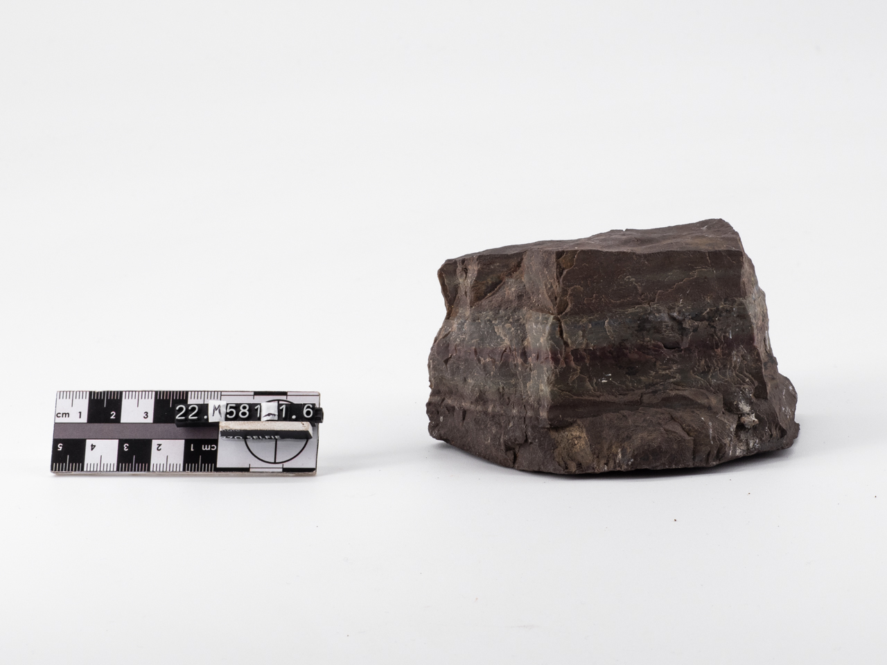 pietra/ scisto, siliceo (Giurassico/ Alto)