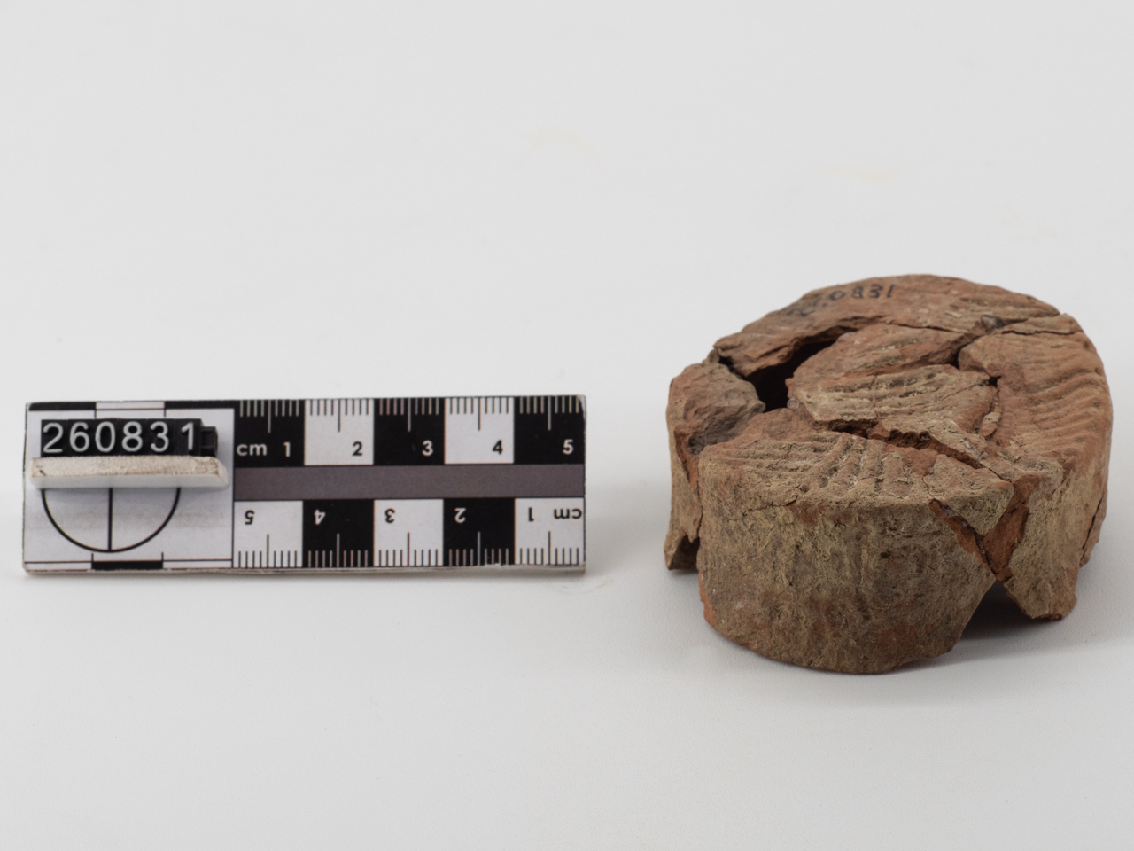 forma di formaggio/ forma parzialmente ricostruibile (IV a.C)