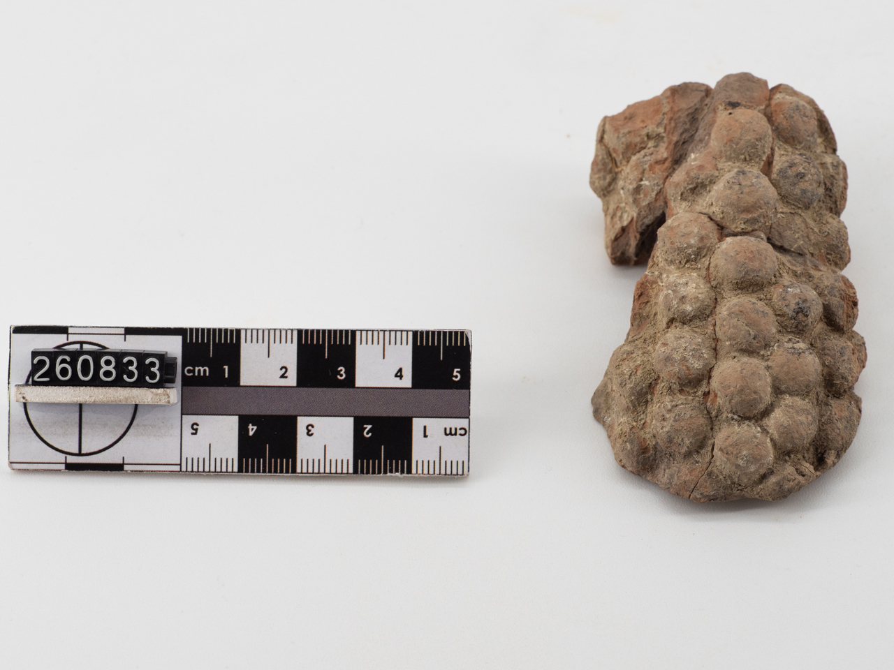 grappolo/ forma parzialmente ricostruibile (IV a.C)