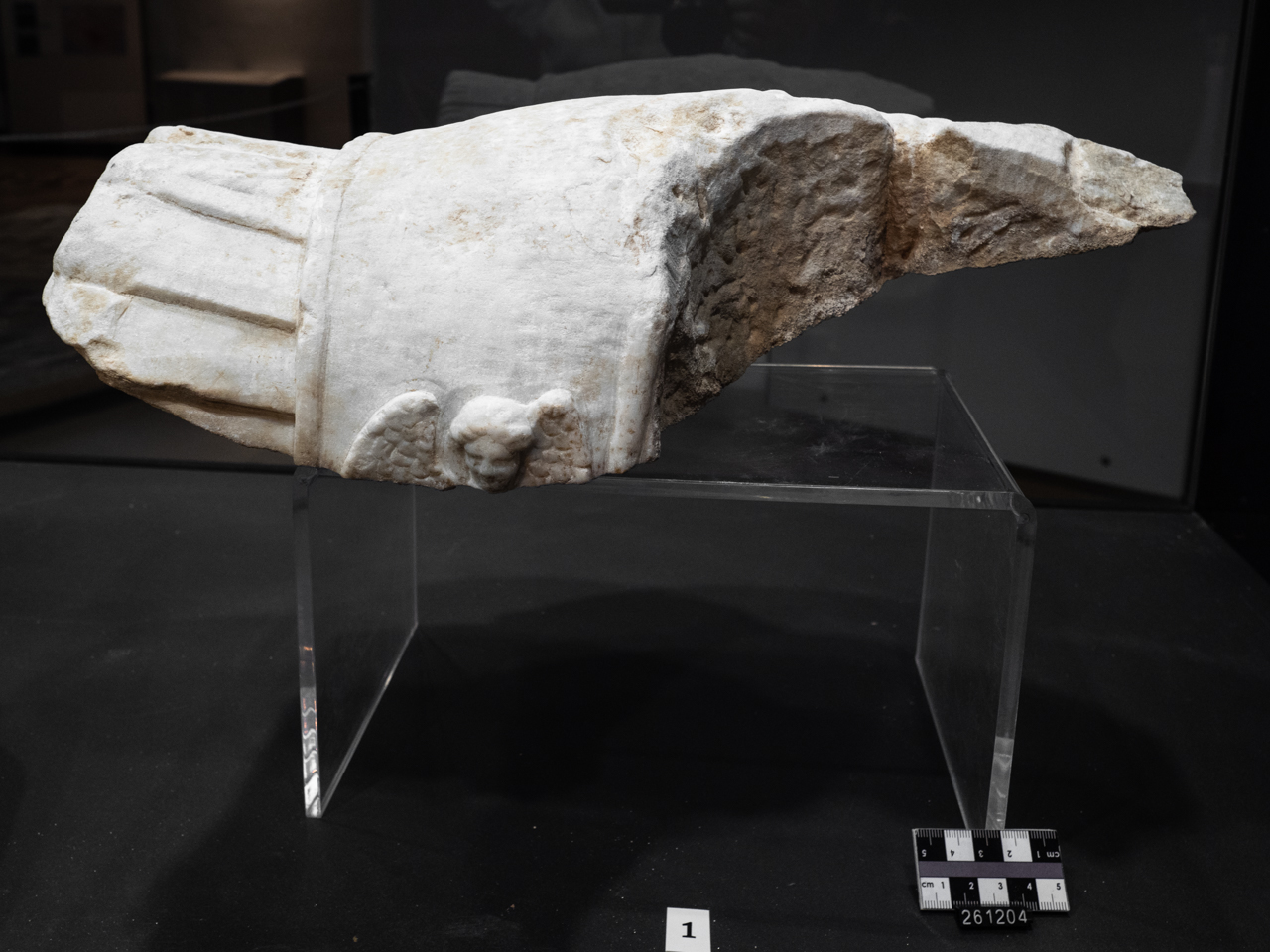 statua/ spalla (Età Giulio-Claudia)