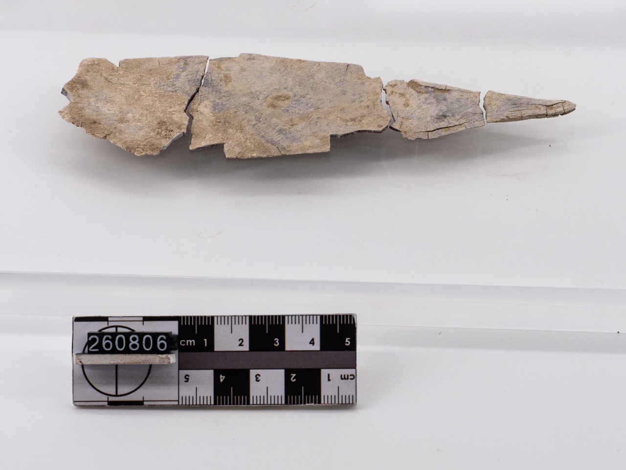 lama/ frammento (IV a.C)