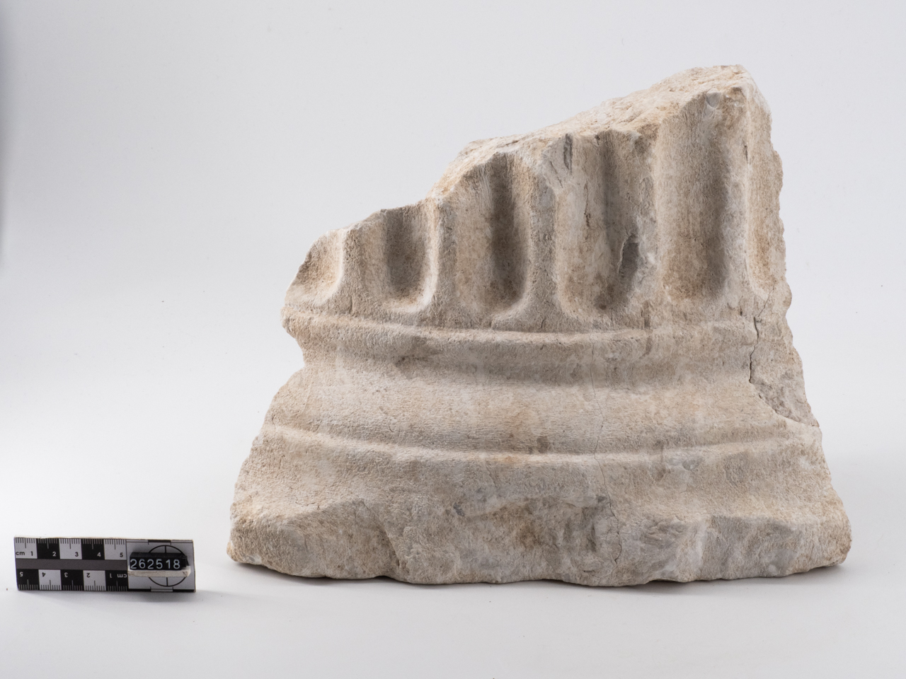 colonna/ base, fusto, scanalata (I-II)