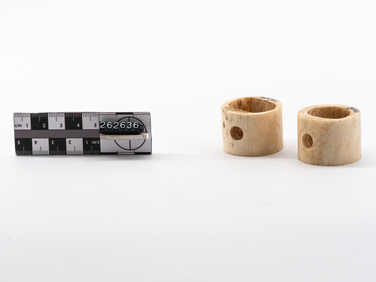 cerniera (prima metà I)