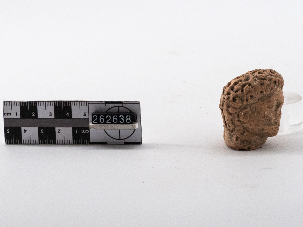 statua/ testa (I a.C.-I)