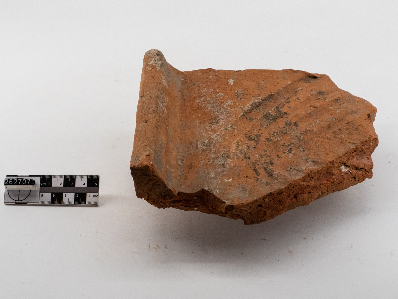 terracotta architettonica/ frammento (fine/ inizio II a.C.-I)