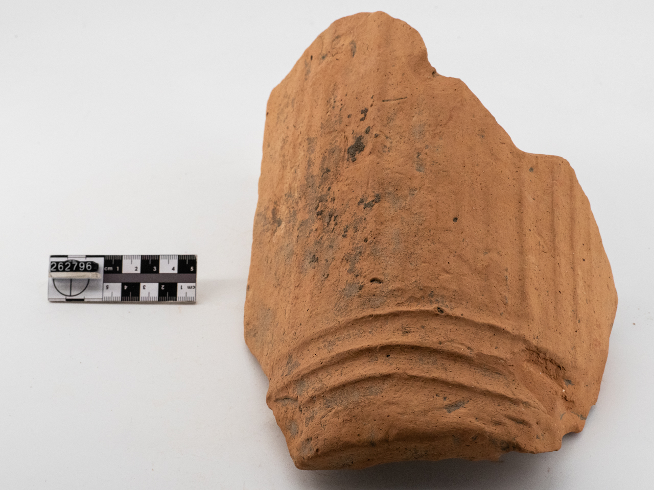 coppo/ decorato, frammento (non determinabile)