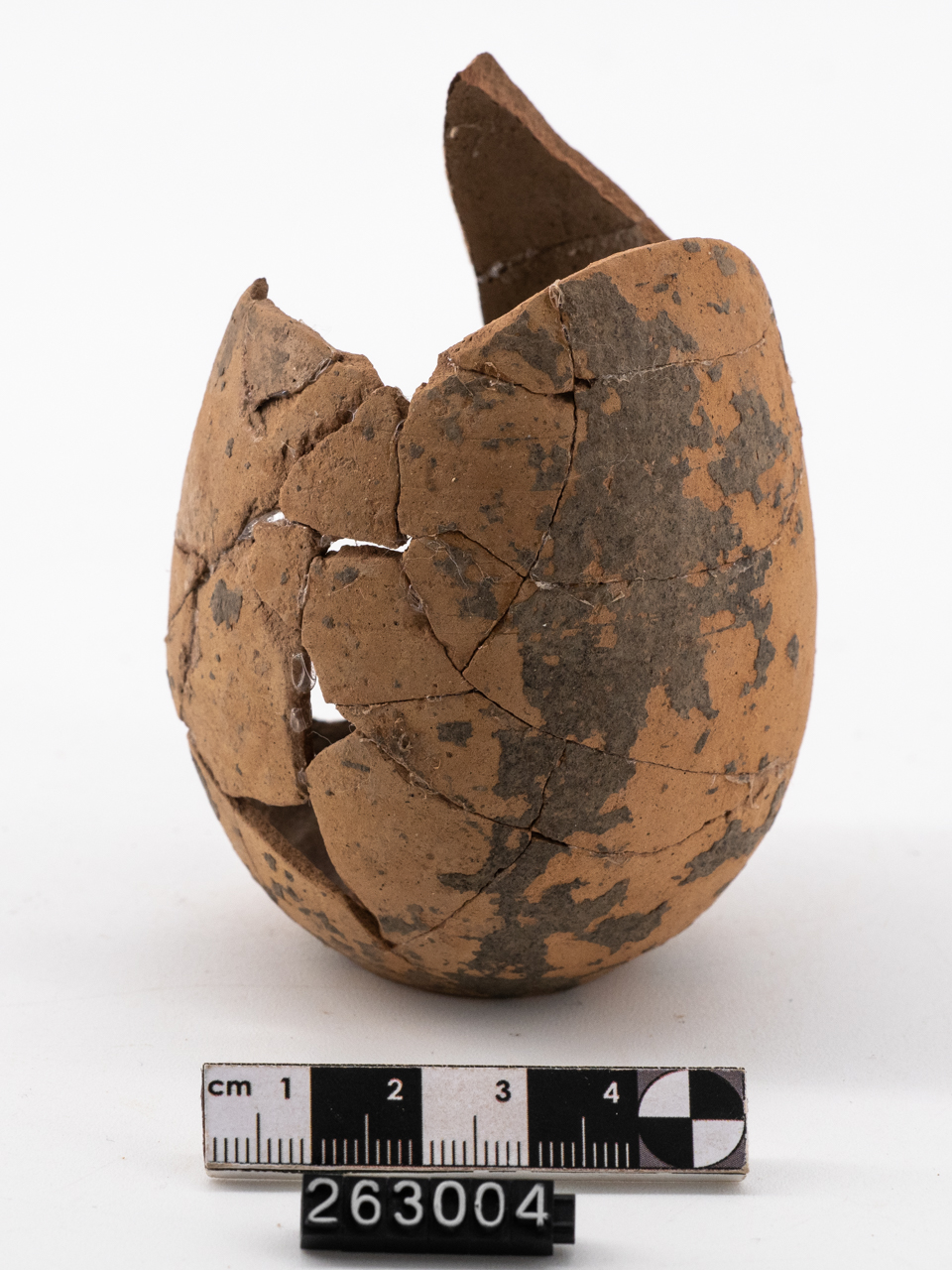 balsamario/ orlo, collo (I a.C.-I d.C)