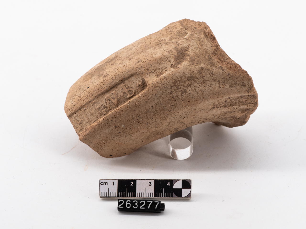 anfora/ ansa, Dressel 20 (II-III)