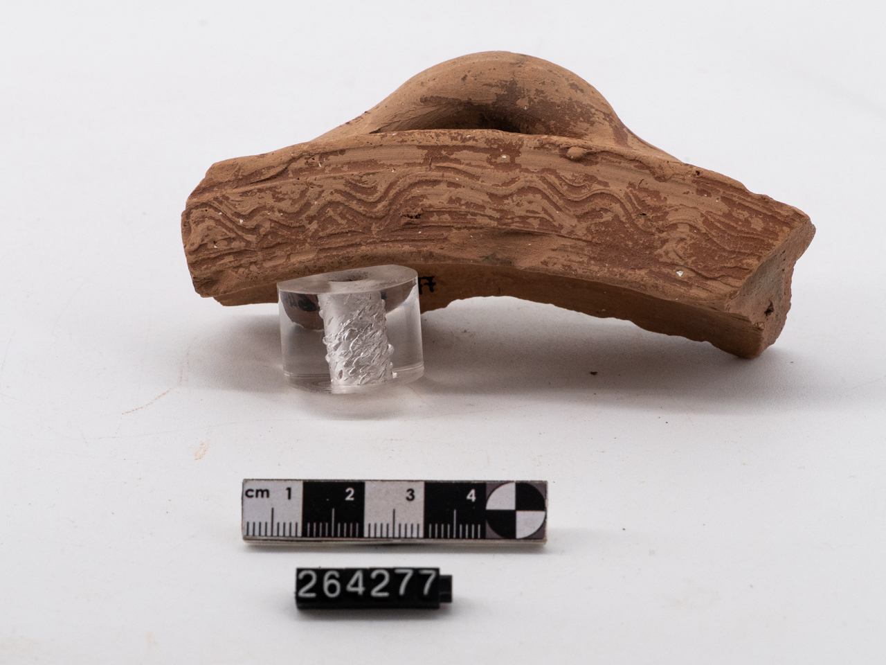 bacile/ orlo - locale (IV-VI)