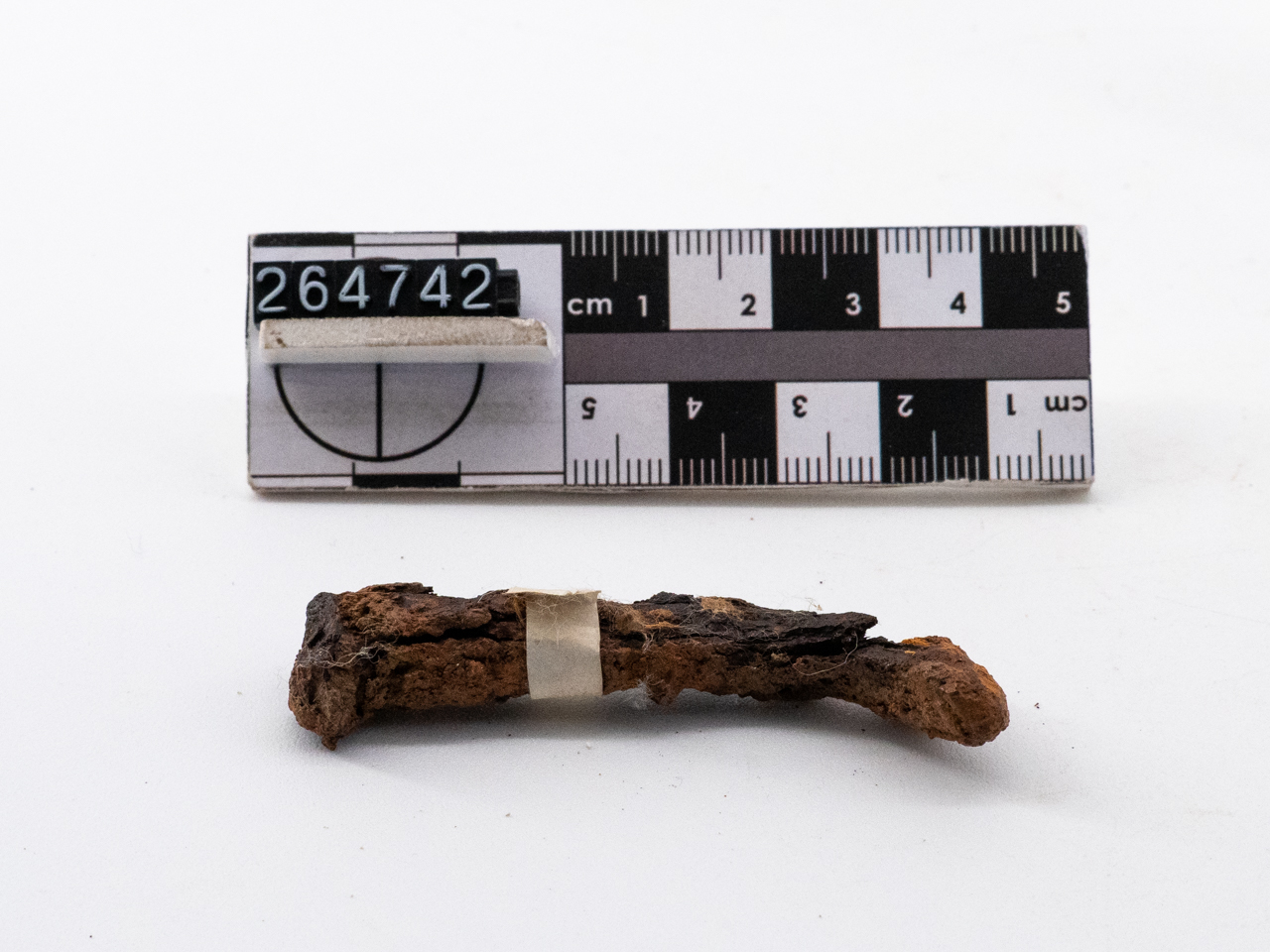 chiodo (I a.C.-I d.C)