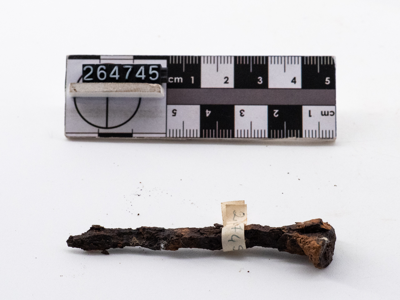 chiodo (I a.C.-I d.C)