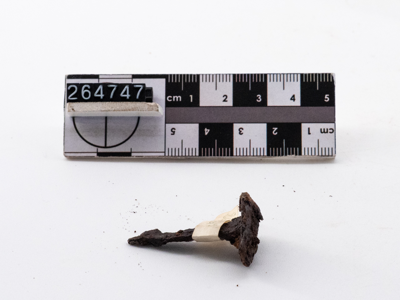 chiodo (I a.C.-I d.C)