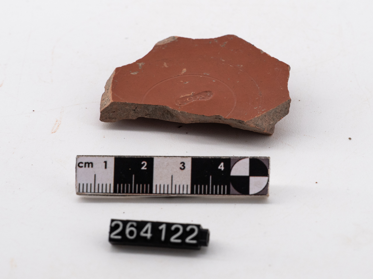 coppa/ fondo - italica (I)