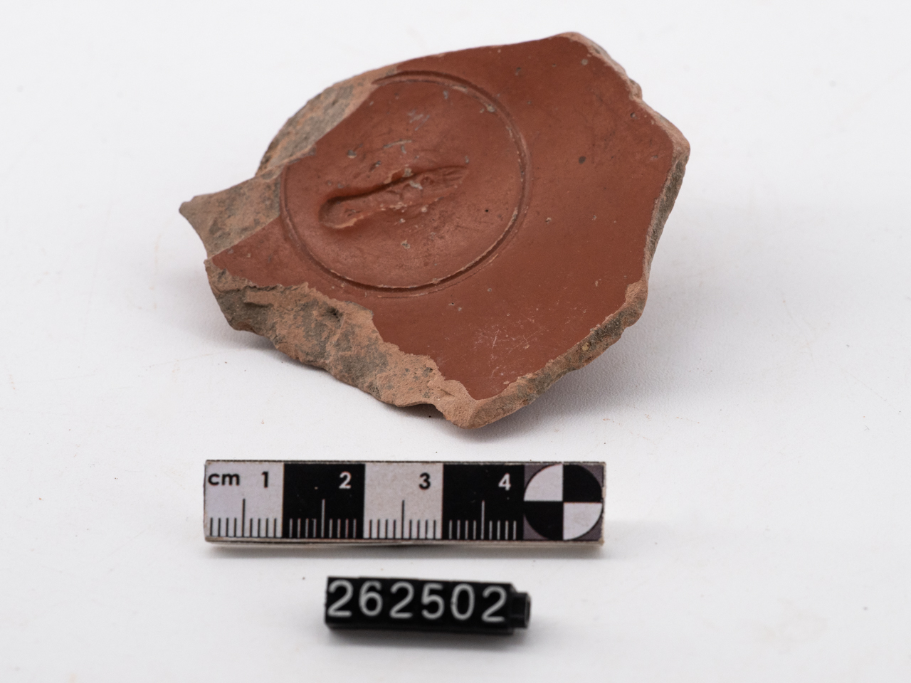 coppa/ emisferica, fondo - nord-italica (fine/ inizio I a.C.-I d.C)