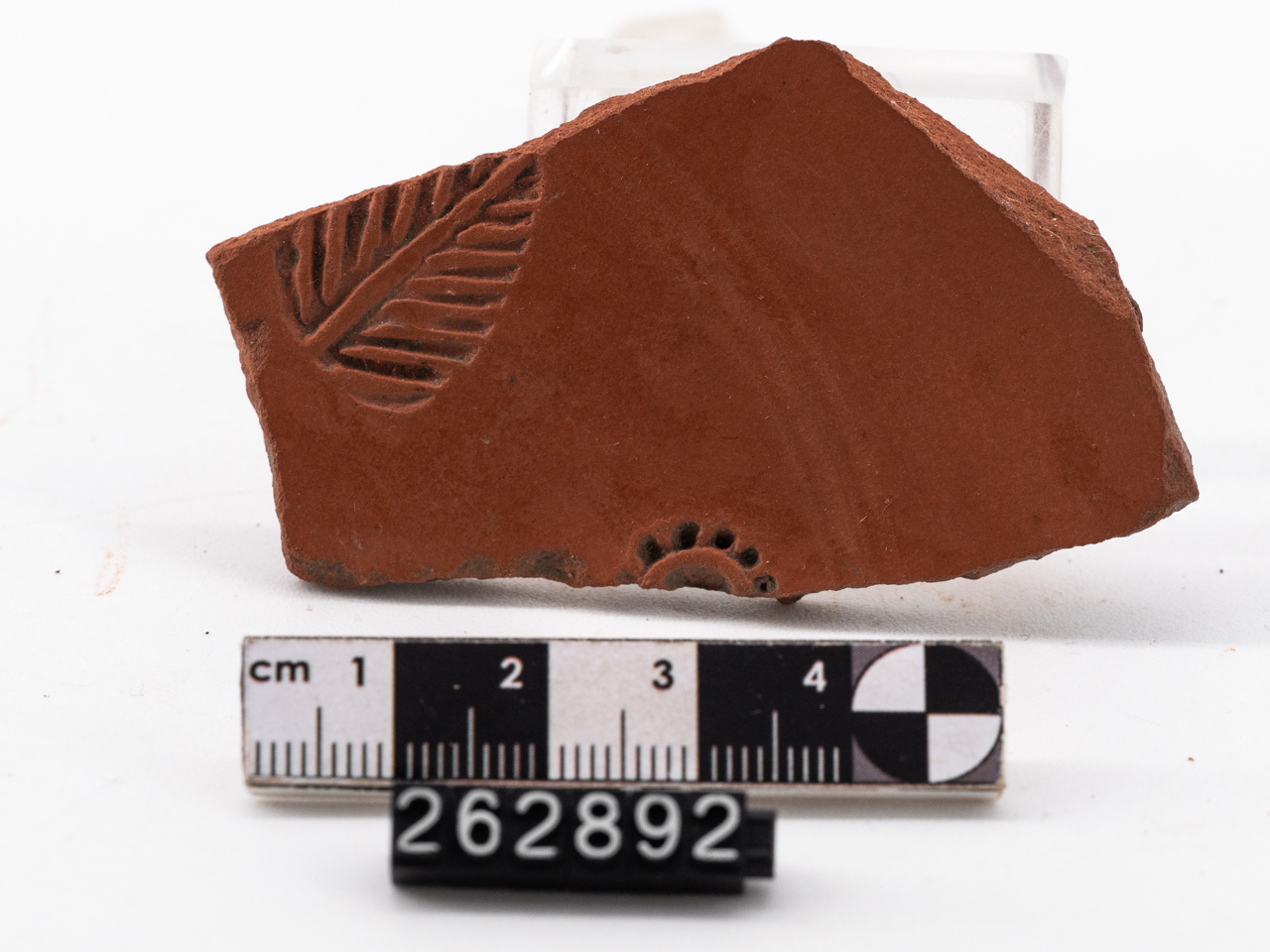 piatto - africana (fine IV-VI)