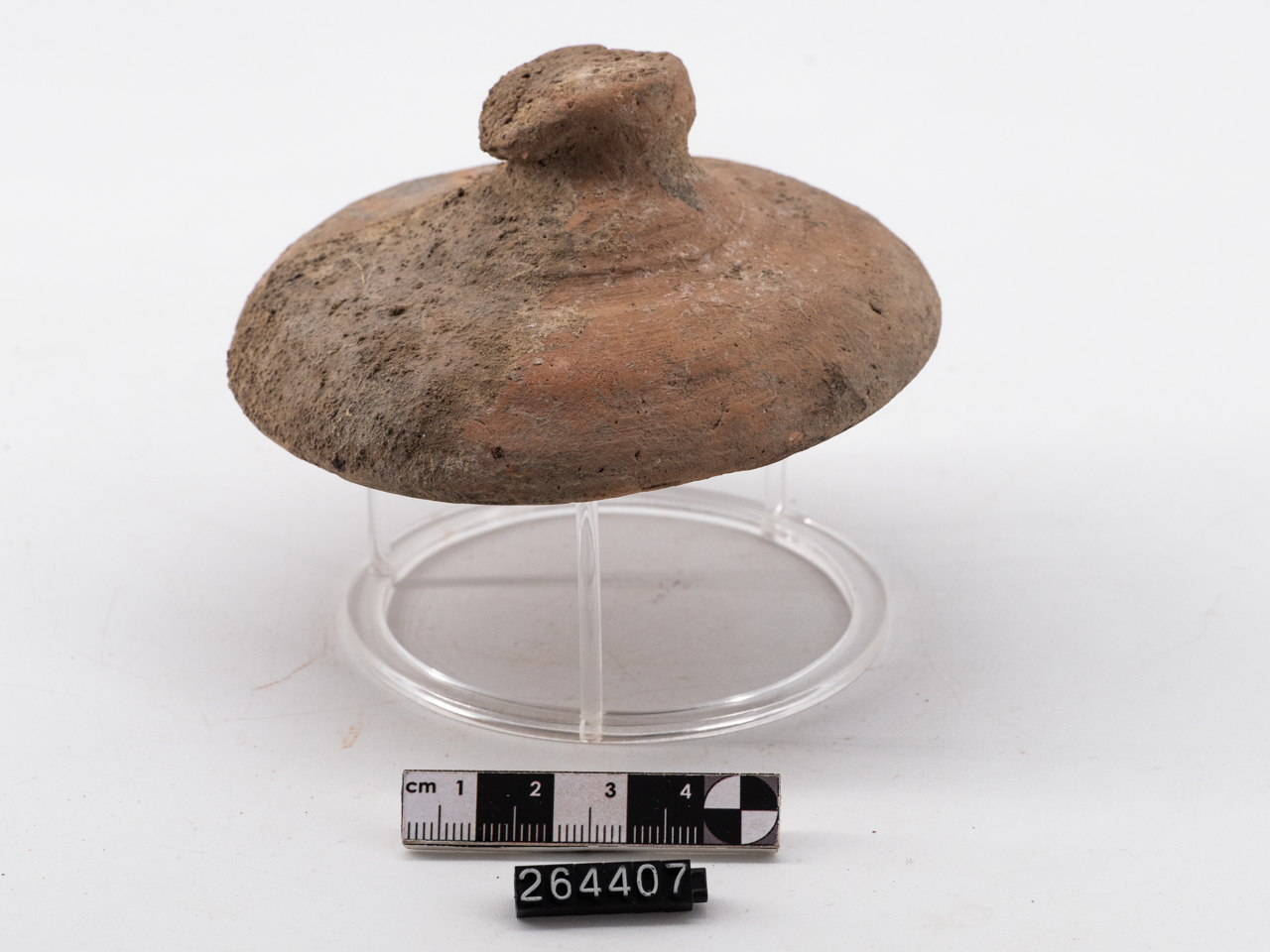 coperchio - locale (non determinabile)