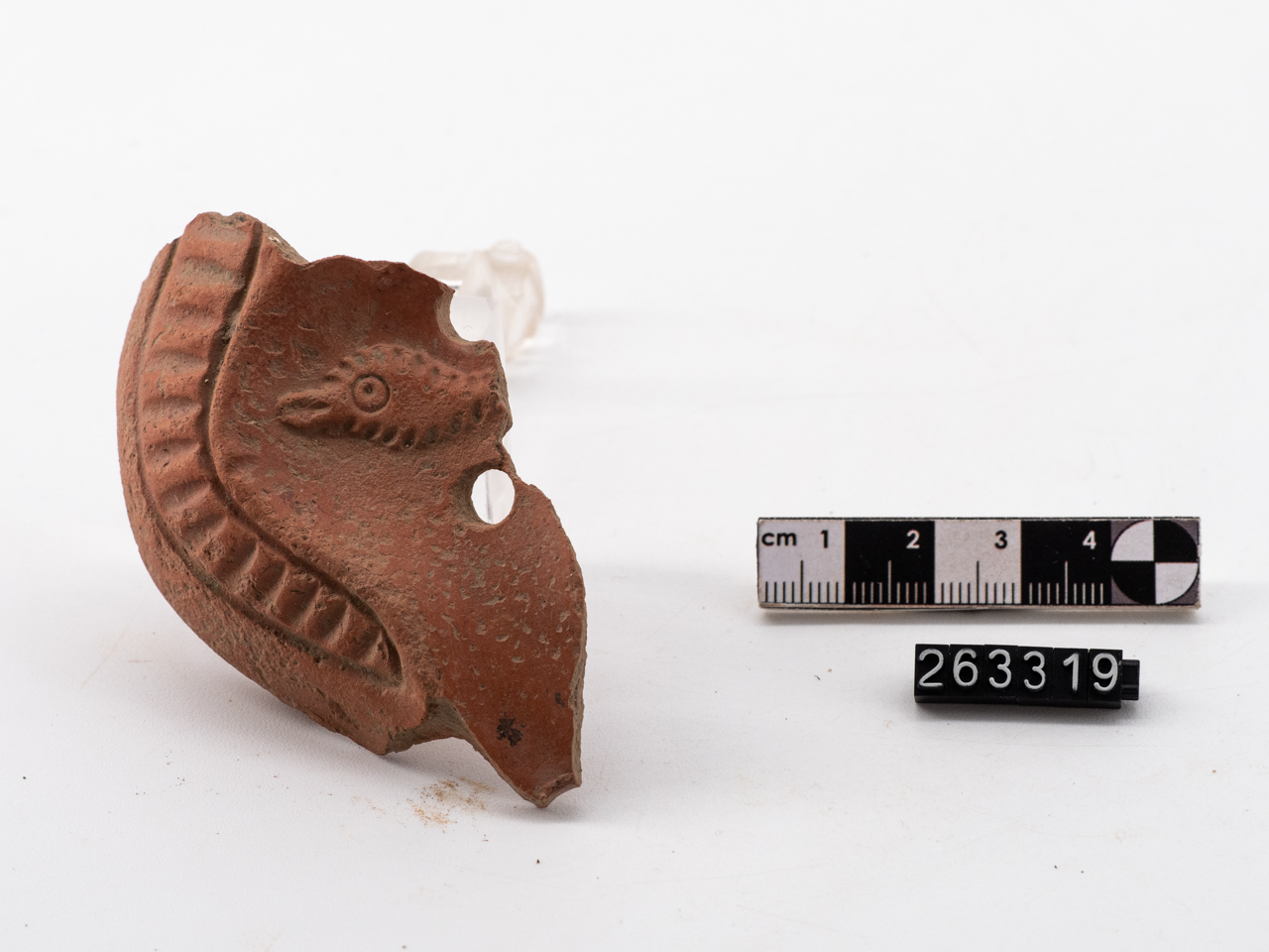 lucerna - africana (metà/ inizio IV-V)