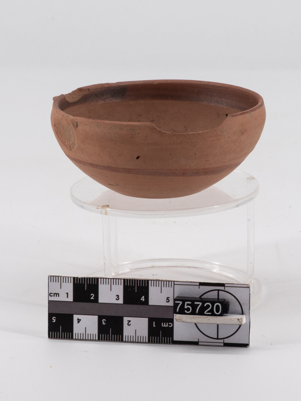 coppetta/ forma ricostruibile (prima metà IV a.C)