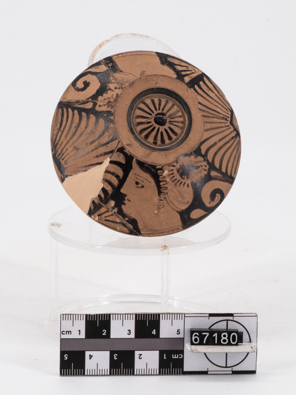 coperchio (fine/ inizio IV a.C.-III a.C)