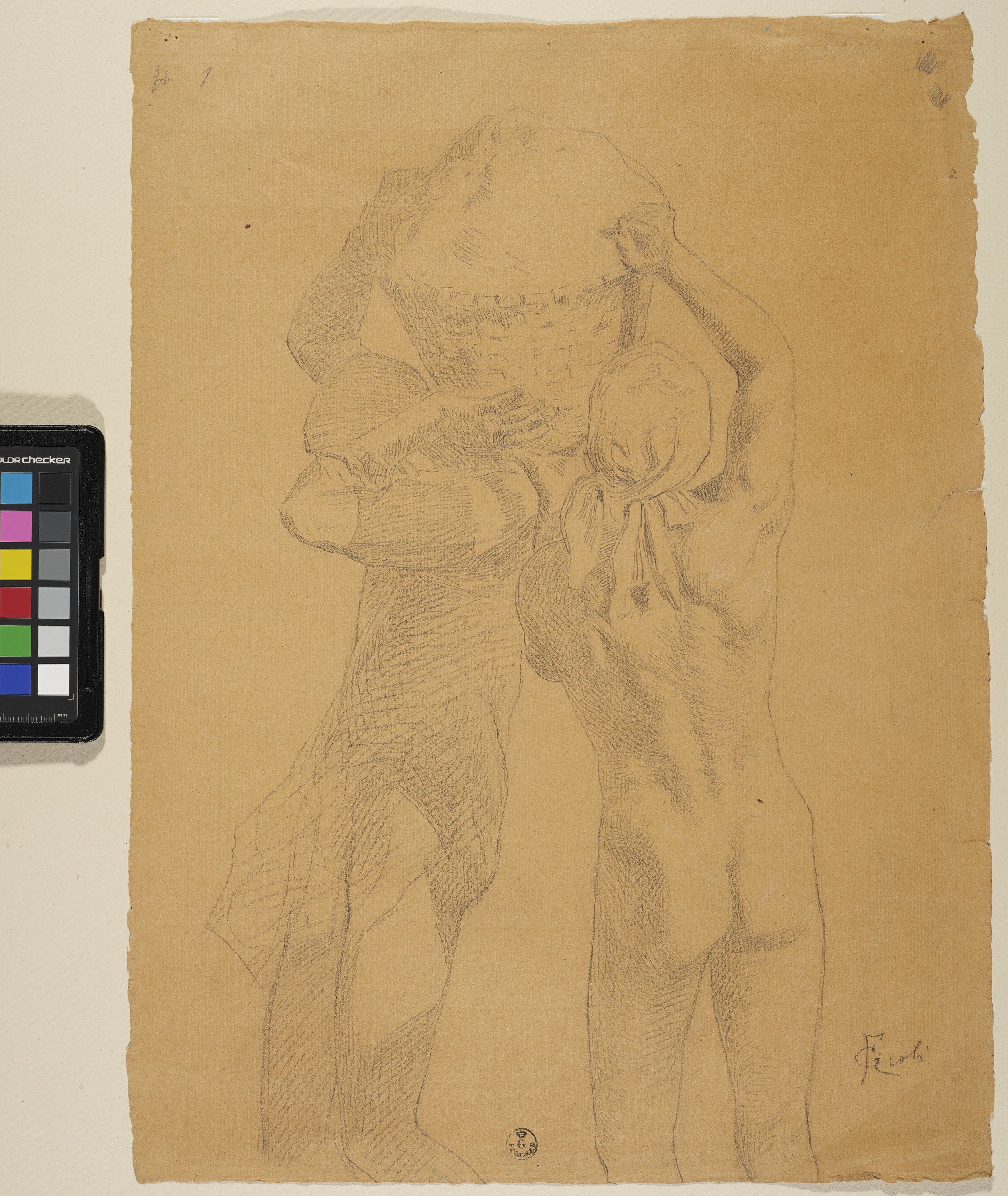 Due mezze figure maschili nude con cesta (disegno) di Gioli Francesco (XIX)