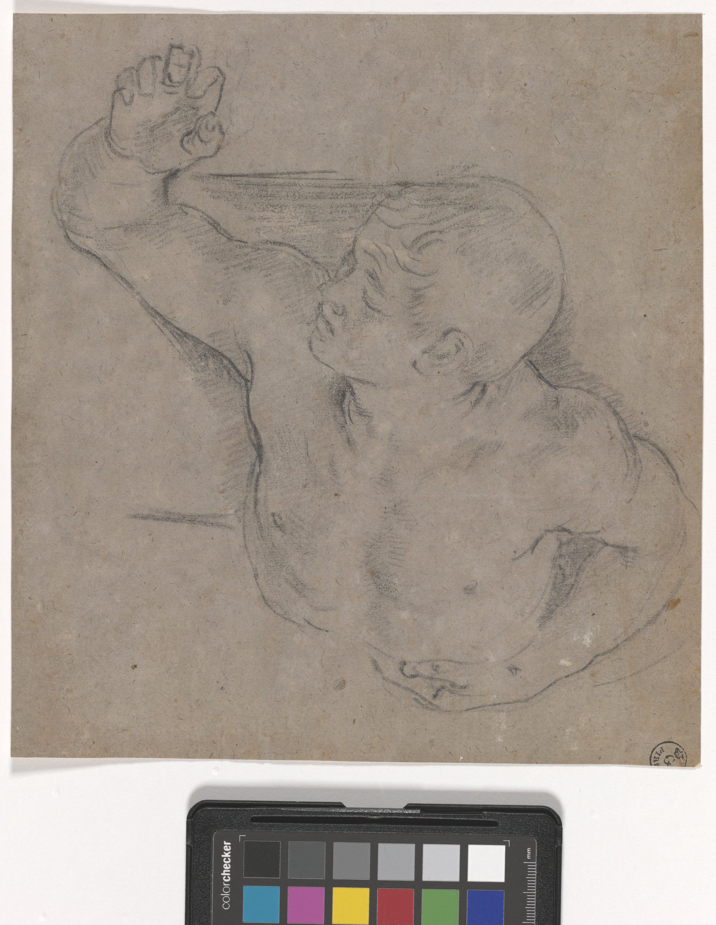 Studio di torso di giovane morto (disegno) di Reni Guido (XVII)